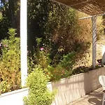 Dario * Gruda