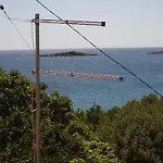 Dario *