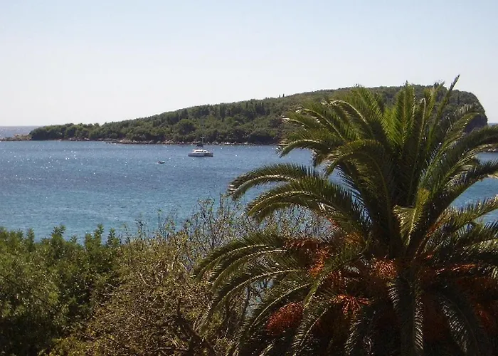 Dario Apartament Gruda